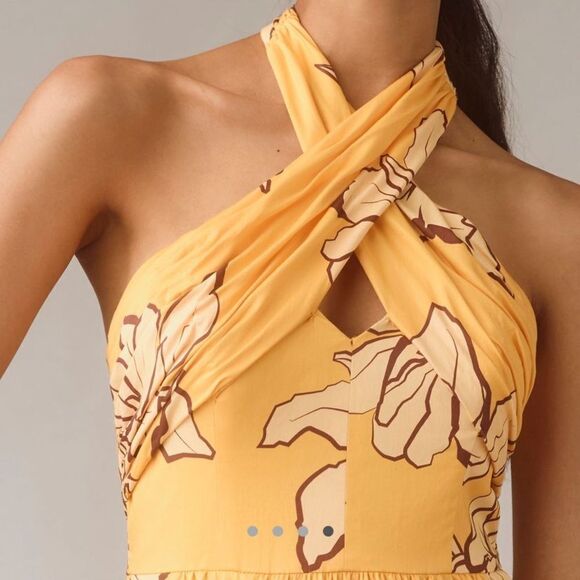 Hutch Floral Halter Maxi Dress - Picture 5 of 5